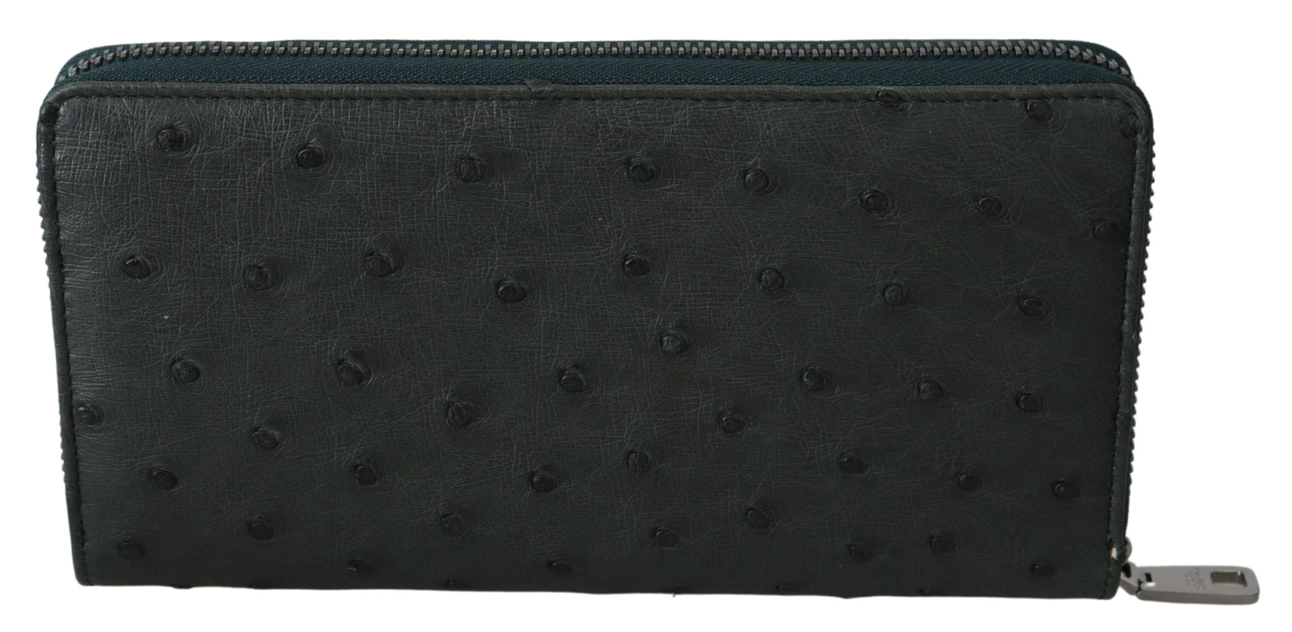 Ηπειρωτικό πορτοφόλι Dolce &amp; Gabbana Exquisite Green Struch Leather