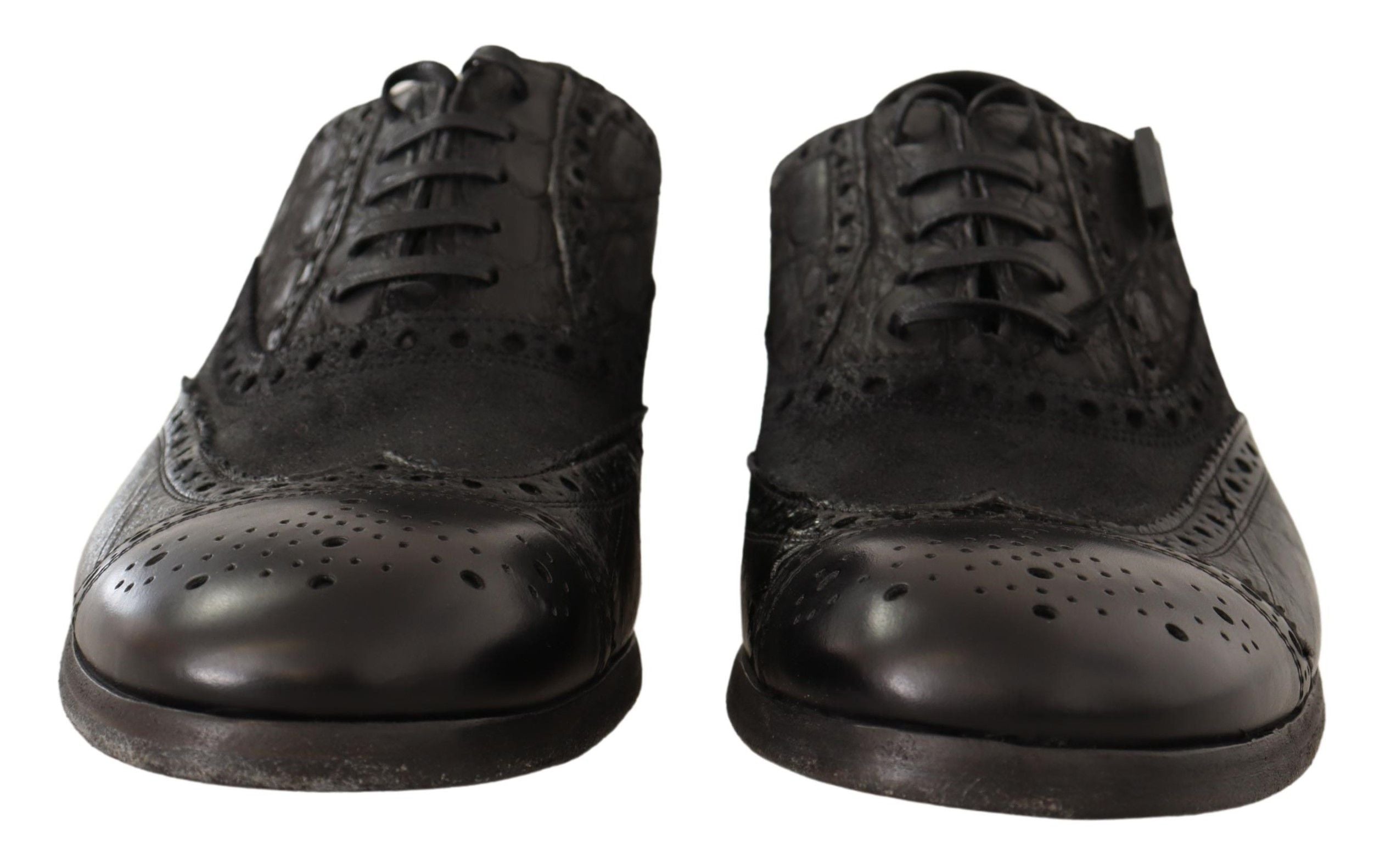 Παπούτσια φόρεμα Dolce &amp; Gabbana Exotic Leather Brogue Derby