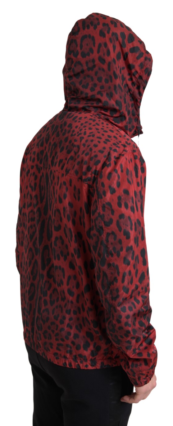 Dolce &amp; Gabbana Red Leopard Hooded Bomber Jacket