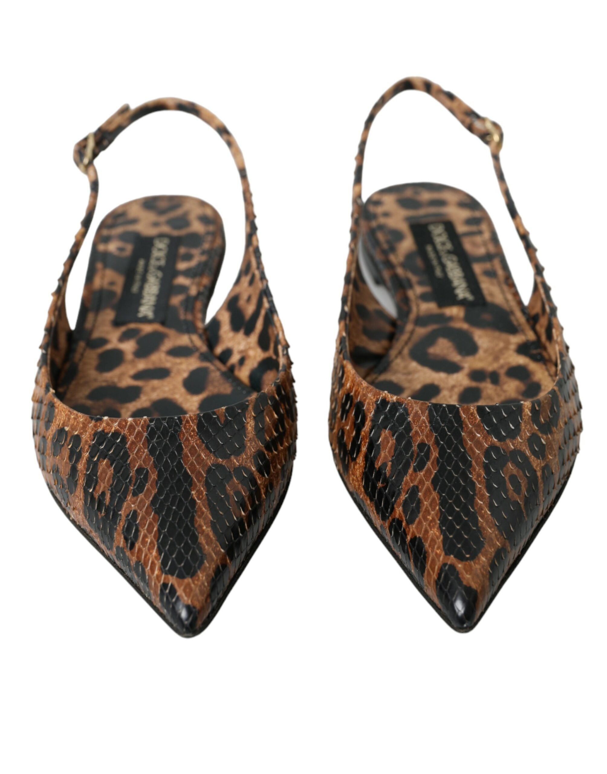 Παπούτσια Dolce &amp; Gabbana Brown Leopard Exotic Skin Slingback