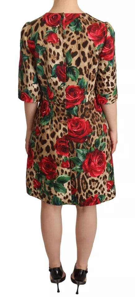 Φόρεμα Dolce &amp; Gabbana Brown Leopard Red Roses Βαμβακερό φόρεμα σε γραμμή Α