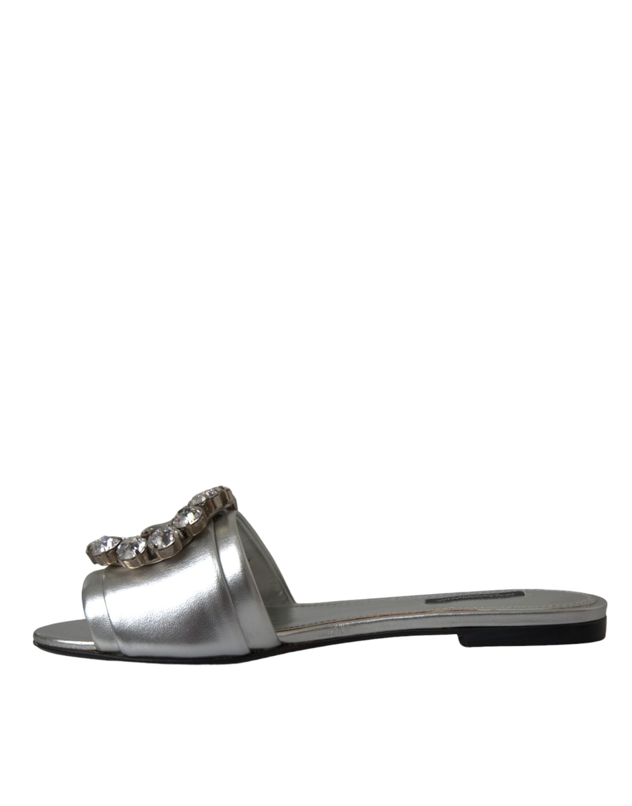 Παπούτσια Dolce & Gabbana Silver Crystal Leather Flats σανδάλια