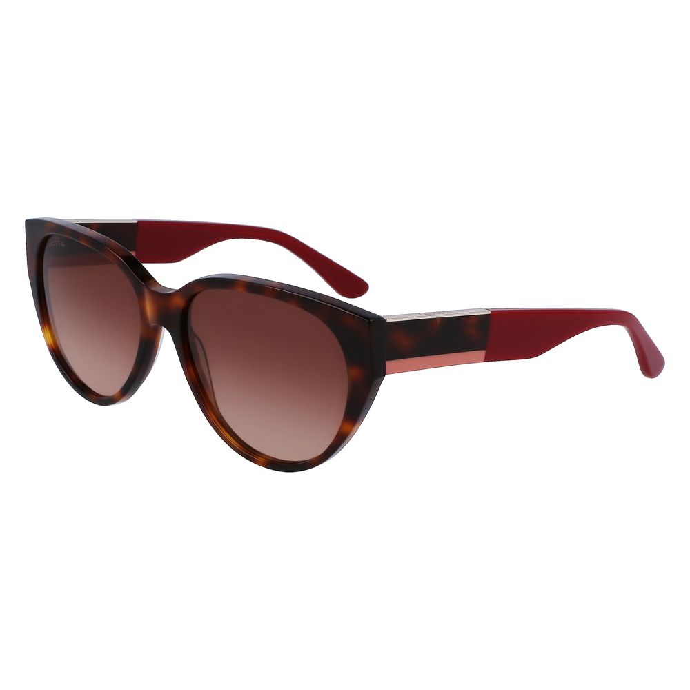 Γυαλιά Ηλίου Acetate Lacoste Brown