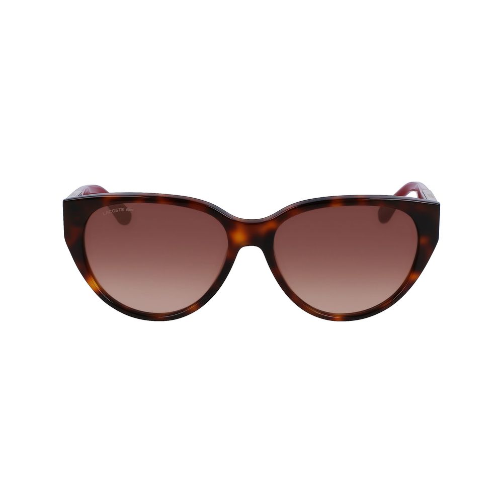 Γυαλιά Ηλίου Acetate Lacoste Brown